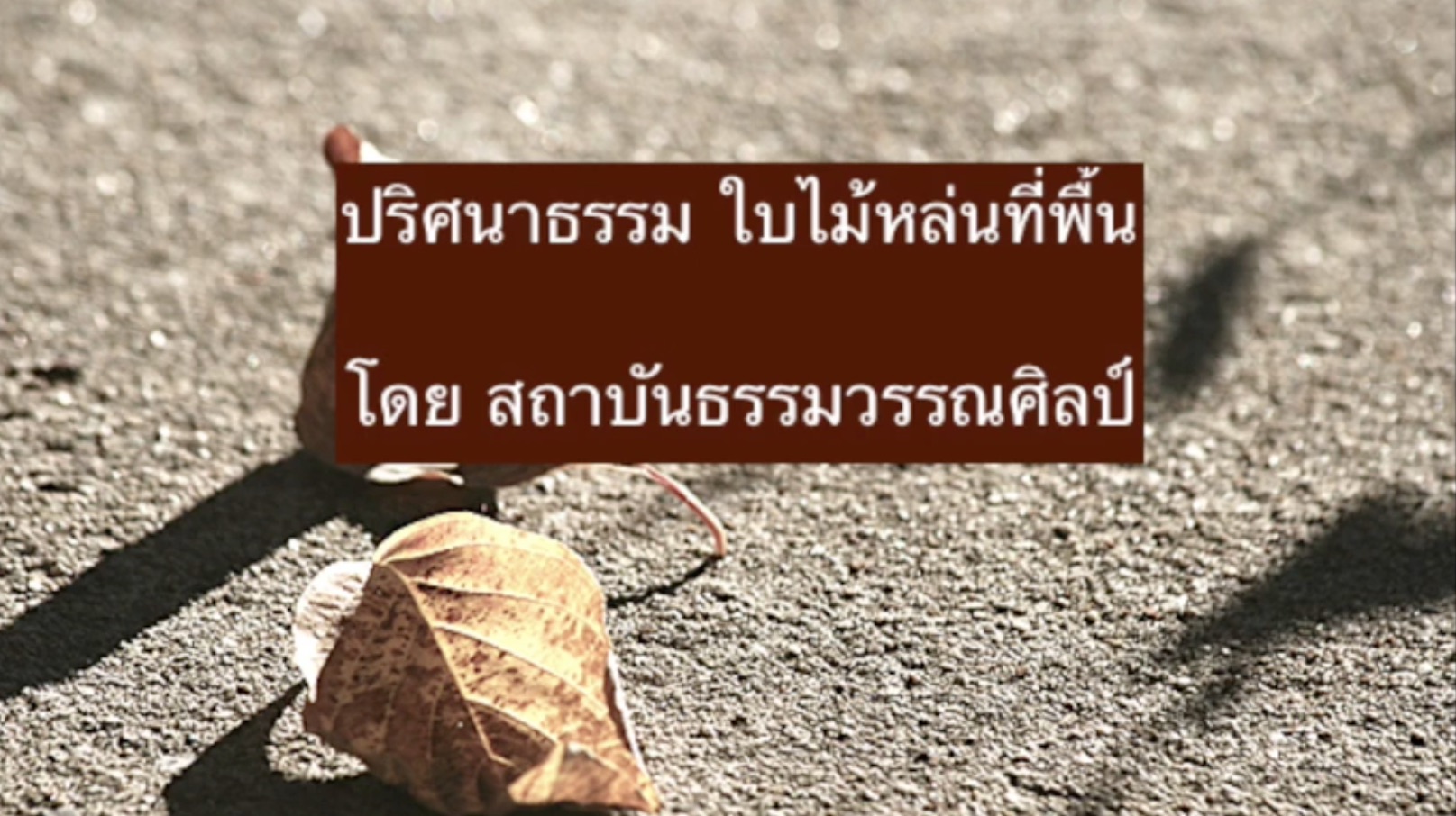 ปริศนาธรรม ใบไม้หล่นที่พื้น ๒