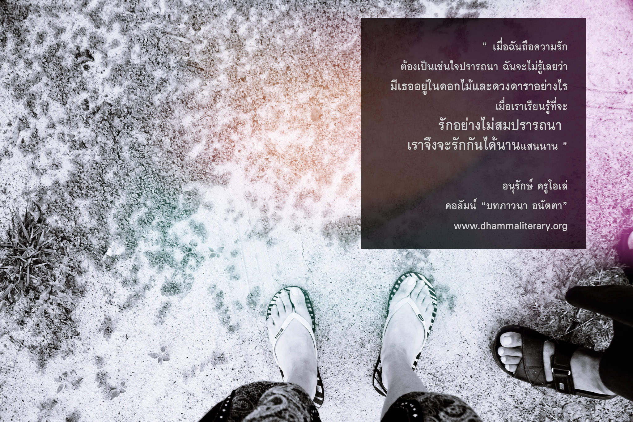เมื่อเราเรียนรู้ที่จะรักอย่างไม่สมปรารถนา