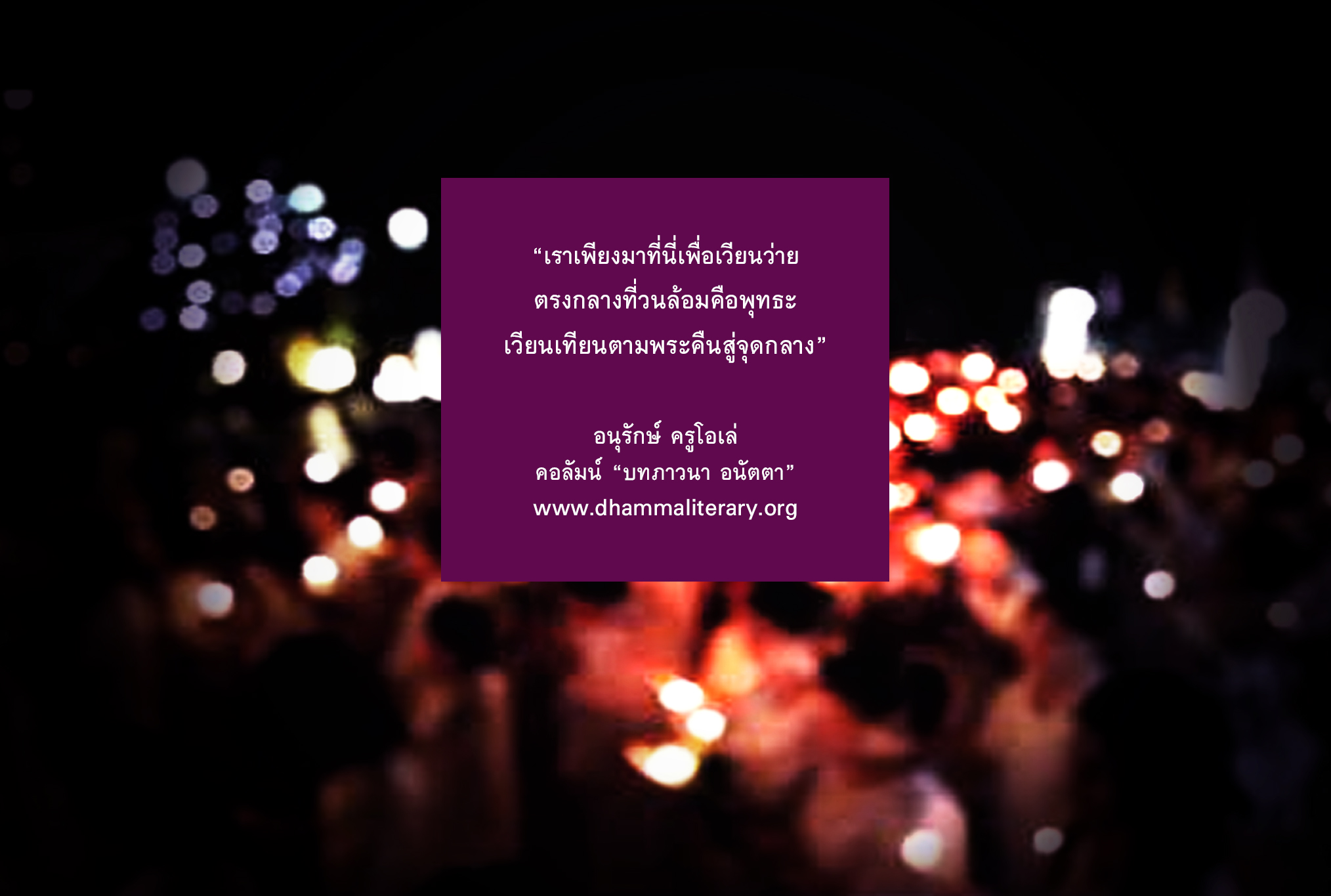เราเพียงมาที่นี่เพื่อเวียนว่าย