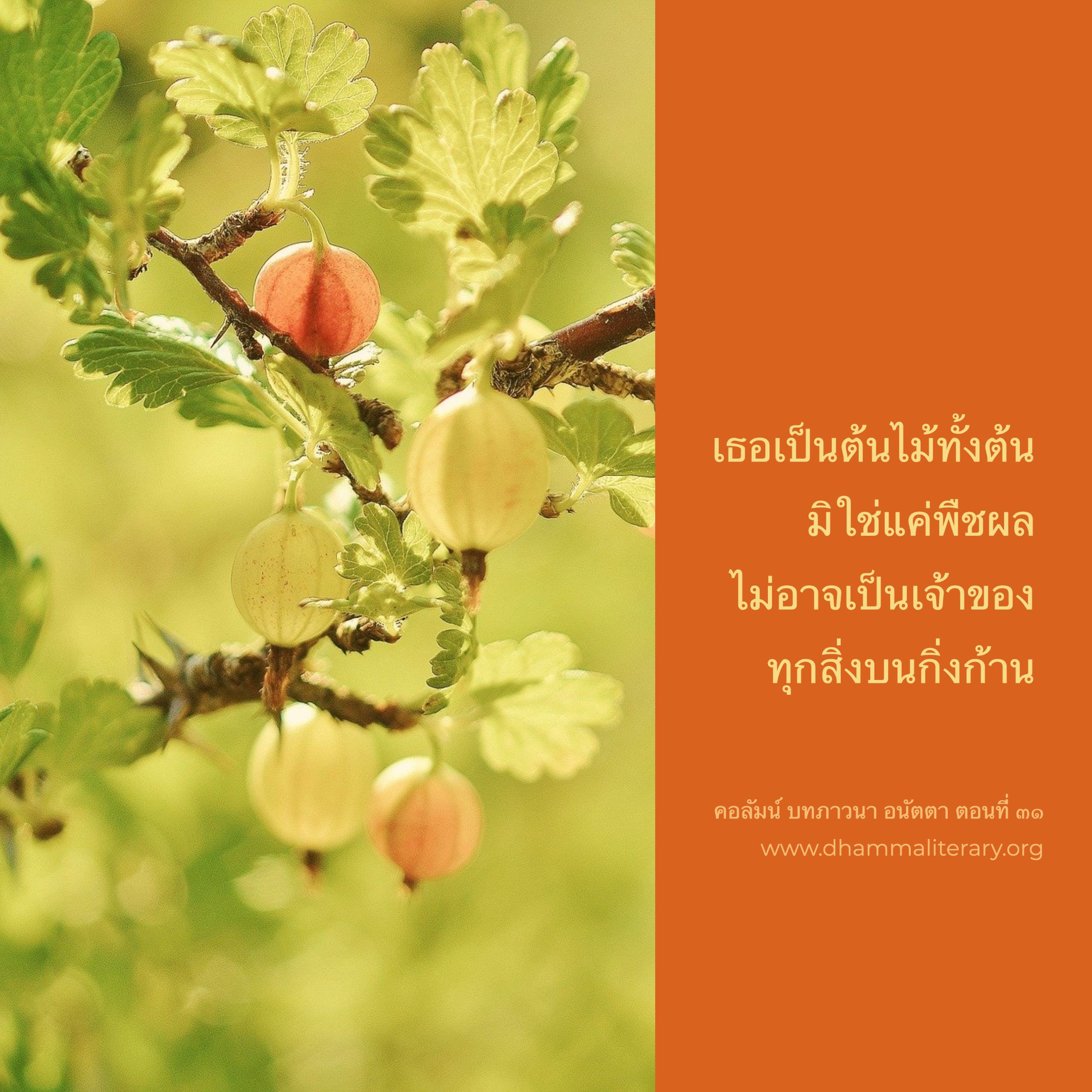 ความเก่งแค่ปัญญาที่ผ่านทาง