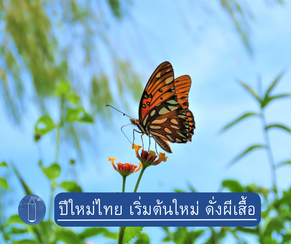 ปีใหม่ไทย เริ่มต้นใหม่ ดั่งผีเสื้อ